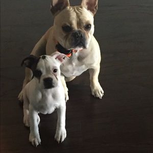 Meet your Posher, Gerardo